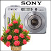 World - Click here to View more details about this Product